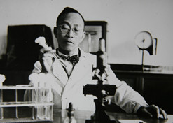 1955年，湯飛凡主持的沙眼研究小組分離出世界上第一株“沙眼衣原體”，命名為TE8，后在國際醫(yī)學(xué)界引起巨大反響