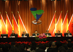 2010年12月，中出服、國藥外貿(mào)和中衛(wèi)合作共同組建中國國際醫(yī)藥衛(wèi)生公司（簡稱國藥國際）。